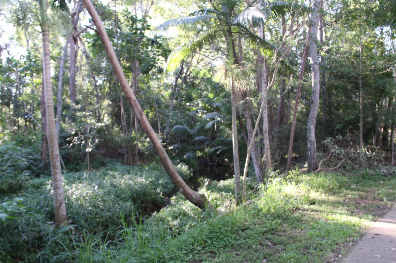 Paperbark Bed & Breakfast Brisbane Exteriör bild